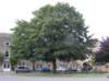 boom2_small.jpg