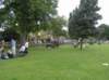 bourtononthewater_small.jpg
