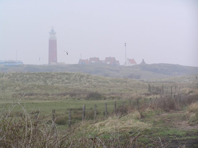 devuurtoren.jpg